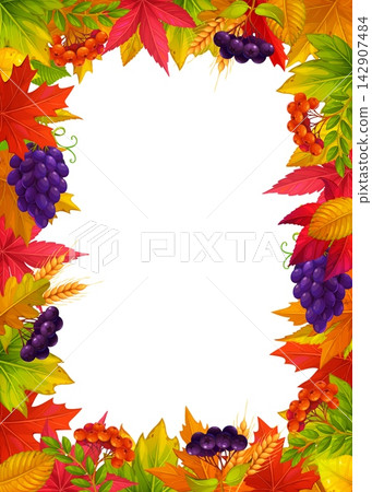 Thanksgiving season frame with autumn leaves, grapes and wheat. Empty rectangular autumn frame surrounded by overlapping foliage with dark grapes and rowan berries for harvest event graphics 142907484