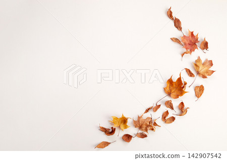 Autumn dry leaves creating decorative flat lay border Autumn dry leaves creating decorative flat lay border 142907542