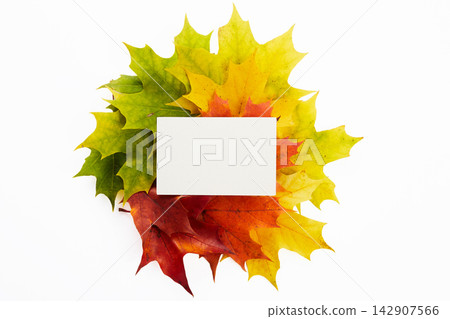 Blank white card mockup on colorful autumn maple leaves Blank white card mockup on colorful autumn maple leaves 142907566