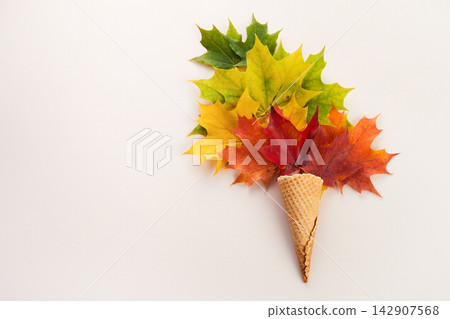 Autumn maple leaves in ice cream cone 142907568