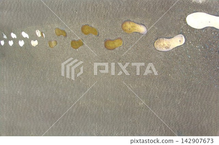 留在海灘上的腳印 留在海灘上的腳印 142907673