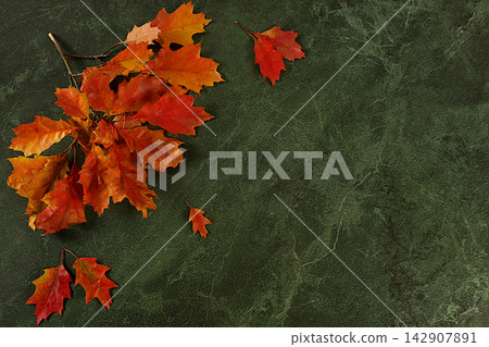 Hello, autumn A vibrant autumn abstract composition with maple leaves, a beautiful still life, and a Thanksgiving concept, screen banner and design template, greeting card, and congratulations Hello, autumn A vibrant autumn abstract composition with maple leaves, a beautiful still life, and a Thanksgiving concept, screen banner and design template, greeting card, and congratulations 142907891