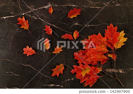 Abstract autumn composition with maple leaves on a marble effect concrete background,Hello Autumn greeting card. still life and Thanksgiving theme, beautiful sunny banner and design template Abstract autumn composition with maple leaves on a marble effect concrete background,Hello Autumn greeting card. still life and Thanksgiving theme, beautiful sunny banner and design template 142907900