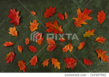 Hello Autumn greeting card. Abstract autumn composition with maple leaves on a marble effect concrete background, still life and Thanksgiving theme, beautiful sunny banner and design template Hello Autumn greeting card. Abstract autumn composition with maple leaves on a marble effect concrete background, still life and Thanksgiving theme, beautiful sunny banner and design template 142907902