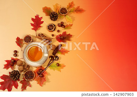 Bright autumn banner with cup of tea or mulled wine, maple leaves, pine cones, nuts, cinnamon, star anise and dried oranges, abstract seasonal composition and still life, Thanksgiving concept 142907903