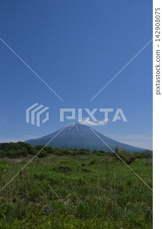 富士山(朝日浦/靜岡縣富士宮市) 富士山(朝日浦/靜岡縣富士宮市) 142908075