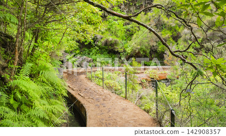 Levada do Risco, Madeira, Portugal Levada do Risco, Madeira, Portugal 142908357