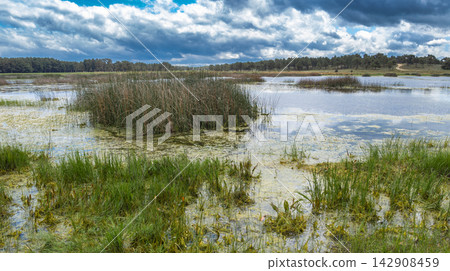 Lagunas de Cantalejo Special Protection Area, Spain Lagunas de Cantalejo Special Protection Area, Spain 142908459