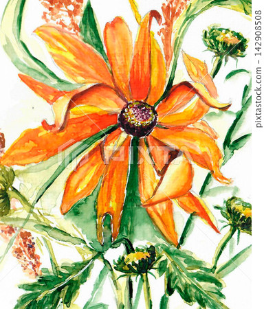 Sun flower Sun flower 142908508