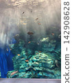 光線透過的水面 142908628