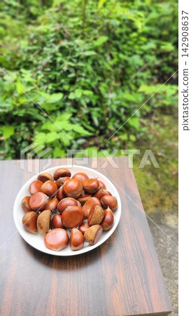 秋季美食:新鮮採摘的栗子盛放在盤子裡,以綠色為背景。 秋季美食:新鮮採摘的栗子盛放在盤子裡,以綠色為背景。 142908637