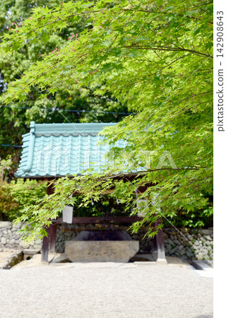 奈良龍田大神社 142908643