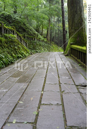 通往森林神社的小路 通往森林神社的小路 142909461