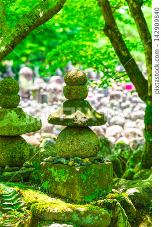 夏季京都的足野念佛寺 夏季京都的足野念佛寺 142909840
