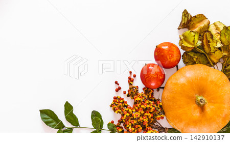 Autumn composition with pumpkins, wheat and berries for Thanksgiving Day on white background. Still life background with empty copy space. Autumn composition with pumpkins, wheat and berries for Thanksgiving Day on white background. Still life background with empty copy space. 142910137