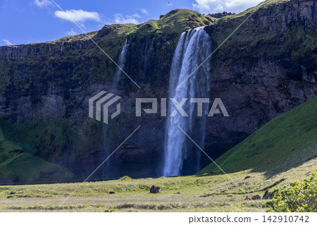 Seljalandsfoss waterfall in Iceland with a recessed cliff and green summer meadow Seljalandsfoss waterfall in Iceland with a recessed cliff and green summer meadow 142910742