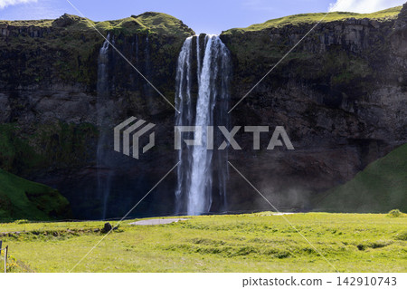 Seljalandsfoss waterfall in Iceland above a sunlit summer meadow and dark cliff Seljalandsfoss waterfall in Iceland above a sunlit summer meadow and dark cliff 142910743