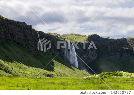 Seljalandsfoss waterfall and green summer meadow below rugged cliffs in Iceland Seljalandsfoss waterfall and green summer meadow below rugged cliffs in Iceland 142910757