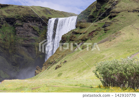 Skogafoss waterfall behind a green slope with summer flowers and shrubs in Iceland Skogafoss waterfall behind a green slope with summer flowers and shrubs in Iceland 142910770