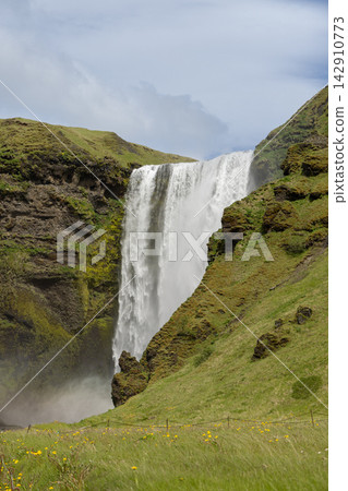 Skogafoss waterfall in Iceland with green summer slopes and yellow wildflowers Skogafoss waterfall in Iceland with green summer slopes and yellow wildflowers 142910773