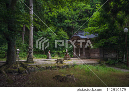 兵庫縣出石城：森林中的有古山稻荷神社 142910879