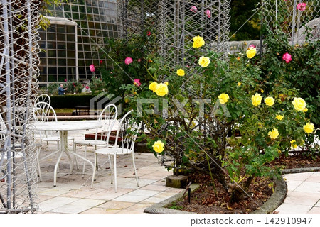 The rose garden in Odawara, Kanagawa Prefecture, is in full bloom, and there is a rest area. The rose garden in Odawara, Kanagawa Prefecture, is in full bloom, and there is a rest area. 142910947