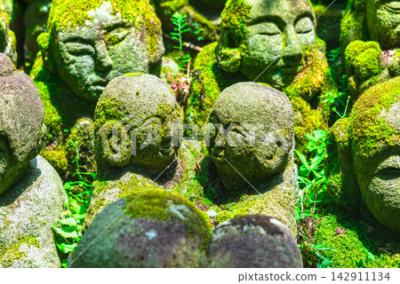京都的夏天:愛宕念佛寺的羅漢雕像 京都的夏天:愛宕念佛寺的羅漢雕像 142911134