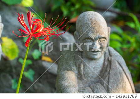 長泉寺的紅彼岸花和石佛 長泉寺的紅彼岸花和石佛 142911769