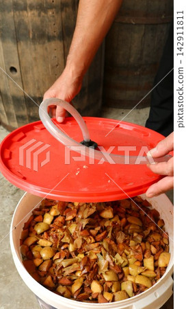 A person closes a white plastic bucket with a red lid. A silicone hose is fitted into the center of the lid, serving as a homemade airlock for fermenting the must. A person closes a white plastic bucket with a red lid. A silicone hose is fitted into the center of the lid, serving as a homemade airlock for fermenting the must. 142911811