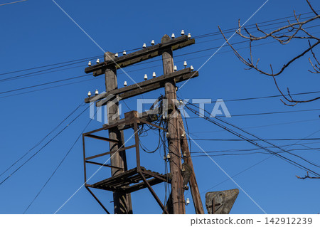 A double wooden utility pole with white insulators stands against a vibrant blue sky, highlighting infrastructure designed for electrical power distribution in an industrial area A double wooden utility pole with white insulators stands against a vibrant blue sky, highlighting infrastructure designed for electrical power distribution in an industrial area 142912239
