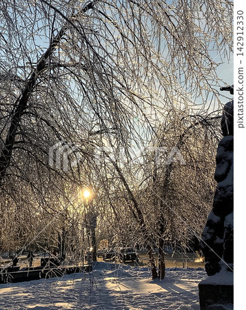 Sunlight filters through trees covered in thick ice after a freezing winter storm, creating a shimmering landscape with glowing light and deep shadows in a quiet snowy city park setting Sunlight filters through trees covered in thick ice after a freezing winter storm, creating a shimmering landscape with glowing light and deep shadows in a quiet snowy city park setting 142912330
