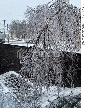 A frozen tree branch bent by heavy ice coats stone stairs on a cold winter day, showcasing nature resilience during severe weather and freezing rain storms in an urban city park area A frozen tree branch bent by heavy ice coats stone stairs on a cold winter day, showcasing nature resilience during severe weather and freezing rain storms in an urban city park area 142912332