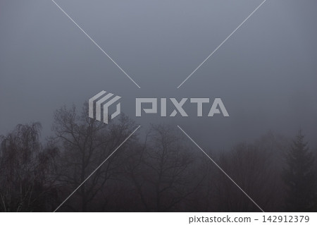 Silhouetted bare treetops against a dense grey fog bank under a dim sky, creating a moody atmosphere of winter solitude and natural stillness in a vast, quiet, overcast landscape Silhouetted bare treetops against a dense grey fog bank under a dim sky, creating a moody atmosphere of winter solitude and natural stillness in a vast, quiet, overcast landscape 142912379