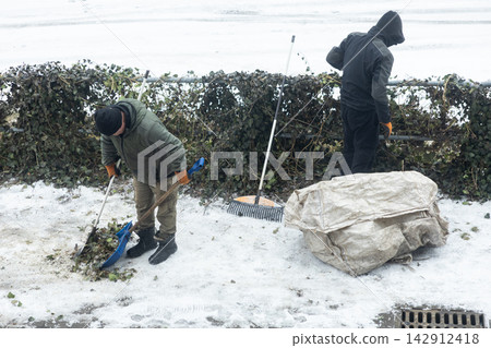 Two people clear frozen leaves from a snowy outdoor path using a plastic shovel and rake, working together to maintain a clean public walkway during a cold winter day in the park Two people clear frozen leaves from a snowy outdoor path using a plastic shovel and rake, working together to maintain a clean public walkway during a cold winter day in the park 142912418