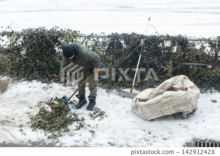 A worker clears autumn leaves from a snow-covered street using a rake and shovel, demonstrating seasonal urban landscape maintenance and public ground care during a winter cold period 142912428