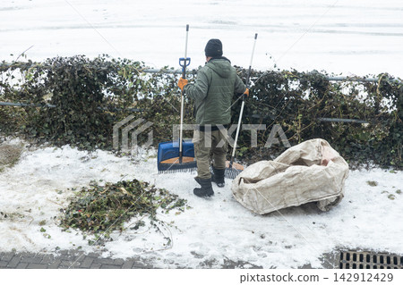 A man in warm clothing cleans up fallen leaves and green ivy debris in winter, performing outdoor landscaping maintenance in a snowy park to keep public areas tidy and well kept A man in warm clothing cleans up fallen leaves and green ivy debris in winter, performing outdoor landscaping maintenance in a snowy park to keep public areas tidy and well kept 142912429