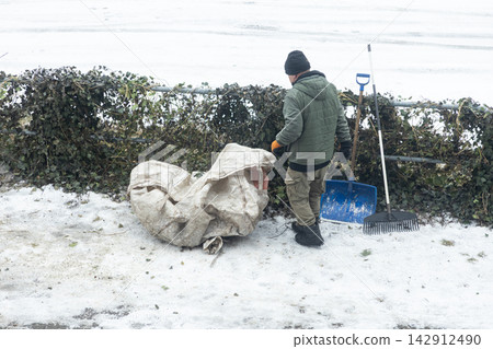 A worker cleans up garden waste with a large bag and rake during winter, highlighting property maintenance duties in cold weather conditions while managing outdoor landscaping tasks A worker cleans up garden waste with a large bag and rake during winter, highlighting property maintenance duties in cold weather conditions while managing outdoor landscaping tasks 142912490