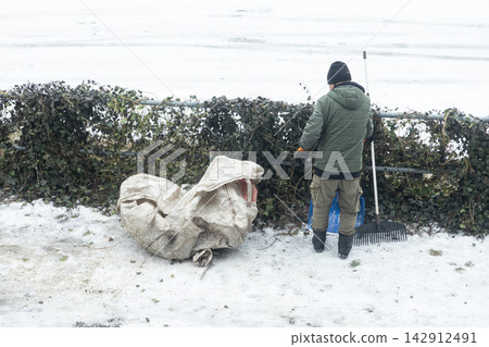 A worker cleans up garden waste along a fence covered in ivy during a cold snowy winter day, highlighting outdoor maintenance tasks performed by one person in freezing weather A worker cleans up garden waste along a fence covered in ivy during a cold snowy winter day, highlighting outdoor maintenance tasks performed by one person in freezing weather 142912491