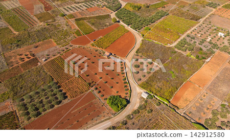 Starogradsko Polje UNESCO landscape on Hvar Island Croatia Starogradsko Polje UNESCO landscape on Hvar Island Croatia 142912580