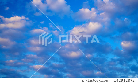 vast cover of cumulus clouds across a blue sky catching warm sunlight vast cover of cumulus clouds across a blue sky catching warm sunlight 142912872