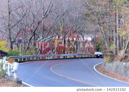 Autumn leaves in Hakone Miyagino Autumn leaves in Hakone Miyagino 142913192