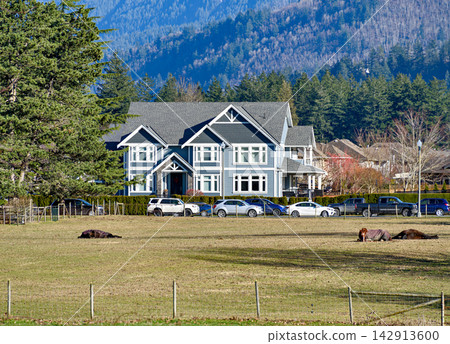 Large suburban house with forested mountain backdrop and horses resting in foreground pasture Large suburban house with forested mountain backdrop and horses resting in foreground pasture 142913600
