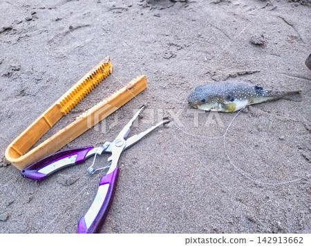 河豚和魚爪 河豚和魚爪 142913662