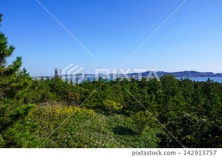 Shiratori Bridge, Muroran City as seen from Shiratori Bay Observatory 142913757