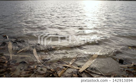 Rippling lake water shore with autumn leaves Rippling lake water shore with autumn leaves 142913894