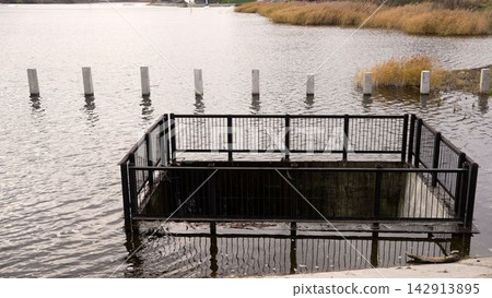 Water level rising during a river flood Water level rising during a river flood 142913895