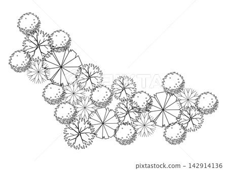 architecture drawing plant tree top view plan black vegetation vector. design nature architectural landscape set element illustration bush garden flora sapling minimal. architect isolated. architecture drawing plant tree top view plan black vegetation vector. design nature architectural landscape set element illustration bush garden flora sapling minimal. architect isolated. 142914136
