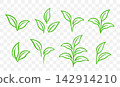 Plants icons set, branches with leaves, eco twigs and sprigs 142914210