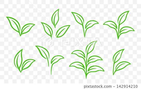 Plants icons set, branches with leaves, eco twigs and sprigs Plants icons set, branches with leaves, eco twigs and sprigs 142914210