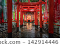Rain-Soaked Inari Torii Gates at Osugi Shrine Ibaraki, Japan 142914446